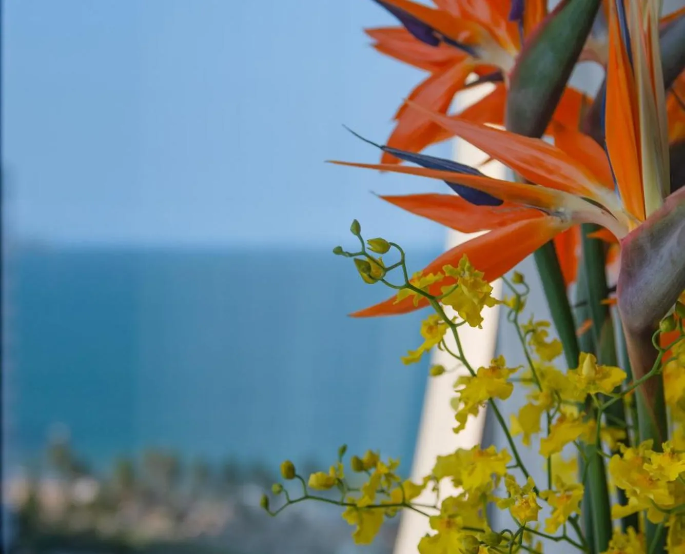 ****  Grand Tourane Nha Trang Hotel Vietnam